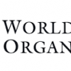 Internship Programs for Post-Graduate Students at the World Trade Organization (WTO) in 2023 (CHF 60 daily allowance)