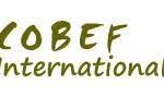 Cobef International Limited’s Production Supervisor