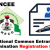 Cut off Marks for the NCEE NECO Common Entrance in each State in Nigeria