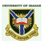 University of Ibadan  (UI )