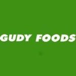 Gudy Foods Nigeria Limited Recruitment For HR Manager