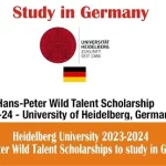 Heidelberg University 2023-2024 Hans-Peter Wild Talent Scholarships to study in Germany