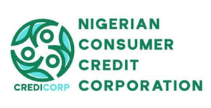 FG consumer credit