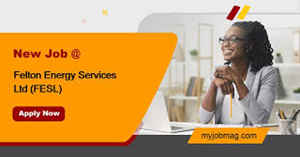 FELTON ENERGY SERVICES LTD