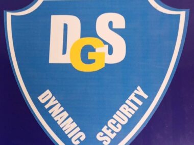 Dynamic Security DSG logo